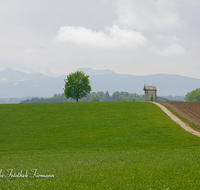 fileadmin/roha/images_galerie/orte_landschaft/Waging/LANDS-WAG-0008-D-roha-Landschaft-Waging-Taching-Fruehling-Kapelle-Weg.png