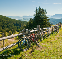 fileadmin/roha/images_galerie/orte_landschaft/Stoisser-Alm/TEI-STO-MOUN-0009-D-roha-Teisendorf-Anger-Stoisser-Alm-Mountainbike.png