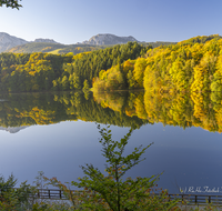 fileadmin/roha/images_galerie/Hintergrund-Download/1600x1200/AN-HOE-HERB-0007-D-roha-Anger-Hoeglwoerth-See-Hochstaufen-Zwiesel-Herbst-Wald-Spiegelung.png