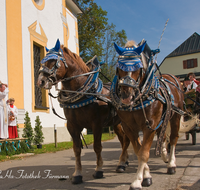 fileadmin/roha/images_galerie/brauchtum/Leonhardiritt/Inzell/BR-PFRI-INZ-0046-D-roha-Brauchtum-Pferdeumritt-Inzell-Michaeliritt-Pferd-Reiter-Pfarrer-Segen.png