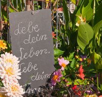 fileadmin/roha/images_galerie/Baum-natur-garten/Haus-Blumenschmuck-Deko/LANDA-BLUMENSCHM-UFERING-0015-D-roha-Landart-Blumenschmuck-Ufering-Garten-Schiefertafel-Spruch-Schrift.png