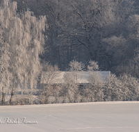 fileadmin/roha/images_galerie/Winter/WINT-TEI-UF-0010-D-roha-Winter-Teisendorf-Ufering-Weg-Schnee-Stadel.png