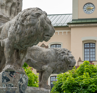 fileadmin/roha/images_galerie/orte_landschaft/Bad_Reichenhall/BAD-REI-FUSSG-0006-01-2-D-roha-Bad-Reichenhall-Wittelsbacher-Brunnen-Wasser-Rathausplatz.png