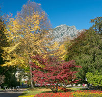 fileadmin/roha/images_galerie/orte_landschaft/Bad-Reich-Kurgarten-Beleuchtung/BAD-REI-KURGAR-0035-D-roha-Bad-Reichenhall-Kurgarten-Hochstaufen-Herbst.png