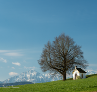 fileadmin/roha/images_galerie/kirche_religion/Saaldorf/KKKM-SAALD-SILL-0042-D-roha.-Kapelle-Saaldorf-Sillersdorf-Hochstaufen-Zwiesel.png