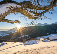 fileadmin/roha/images_galerie/stimmung-Sonne/Sonnenaufgang/SO-AU-ANG-STOISSB-0003-0826-01-D-roha-Sonnenaufgang-Anger-Stoissberg-Neuhaus-Winter.png