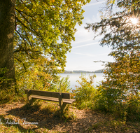 fileadmin/roha/images_galerie/orte_landschaft/Abtsdorf-Abtsdorfer-See/ABTS-SEE-0010-D-roha-Abtsdorfer-See-Leobendorf-Abtsdorf-Saaldorf-Laufen-Wasser-Herbst-Bank.png