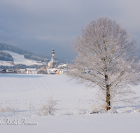 fileadmin/roha/images_galerie/Winter/AN-WI-0007-D-roha-Anger-Winter-Dorf-Schnee-Baum.png