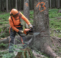 fileadmin/roha/images_galerie/Landwirtschaft/Forst-Holzknecht/HOLZKNE-0004-2018-1439-03-D-roha-Holzknecht-Teisenberg-Baum-Fichte-Motorsaege.png