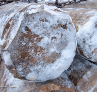 fileadmin/roha/images_galerie/Landwirtschaft/Forst-Holzknecht/HOLZKNE-HAM-DET-0001-01-D-roha-Holzknecht-Winter-Baumstamm-Siegsdorf-Hammer-Winterzug.png