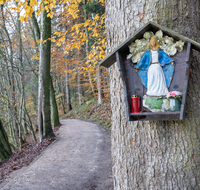 fileadmin/roha/images_galerie/wege/KKKM-ANG-HOEG-0017-D-roha-Weg-Kreuz-Anger-Hoeglwoerth-Schutzmantel-Madonna-Herbst.png