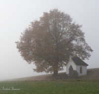 fileadmin/roha/images_galerie/orte_landschaft/Saaldorf/KKKM-SAALD-SILL-0017-D-roha-Kapelle-Saaldorf-Sillersdorf-Hochstaufen-Zwiesel-Lichtnelke.png