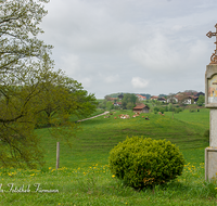 fileadmin/roha/images_galerie/orte_landschaft/Waging/KKKM-WAG-TACH-0002-D-roha-Bildstock-Wegkreuz-Waging-Taching-Fruehling.png