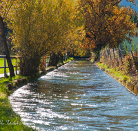 fileadmin/roha/images_galerie/orte_landschaft/Salzburg/Almkanal/SA-B-ALMK-0021-D-roha-Salzburg-Almkanal-Wasser-Herbst.png