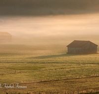 fileadmin/roha/images_galerie/stimmung-Sonne/STIM-SILL-0006-D-roha-Stimmung-Sonnenaufgang-Saaldorf-Sillersdorf-Stadel-Nebel.png