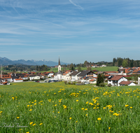 fileadmin/roha/images_galerie/orte_landschaft/Teisendorf/Neukirchen/TEI-NEUK-0002-5-D-roha-Teisendorf-Neukirchen-Chiemgauer-Berge-Blumenwiese.png