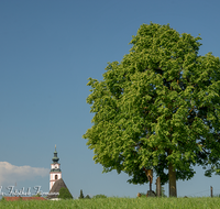 fileadmin/roha/images_galerie/orte_landschaft/Teisendorf/Weildorf/TEI-WEI-0002-02-D-roha-Teisendorf-Weildorf-Kirche-Wegkreuz-Zwiebelturm.png