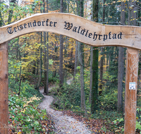 fileadmin/roha/images_galerie/wege/WEGE-TEIS-VERS-0001-01-D-roha-Weg-Teisendorf-Verschoenerungsweg-Wald.png