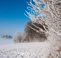 fileadmin/roha/images_galerie/Winter/WINT-HAARM-0001-D-roha-Winter-Haarmoos-Schnee-Rauhreif-Nebel.png