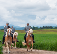 fileadmin/roha/images_galerie/brauchtum/Leonhardiritt/Holzhausen_01/Holzhausen-Ritt-2015/BR-PFRI-HOLZ-2015-0067-1030-0945-01-D-roha-Brauchtum-Pferdeumritt-Holzhausen-Teisendorf-Leonhardiritt.png