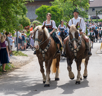 fileadmin/roha/images_galerie/brauchtum/Leonhardiritt/Holzhausen_01/BR-PFRI-HOLZ-2019-1038-0-01-D-roha-Brauchtum-Pferdeumritt-Leonhardiritt-Holzhausen.png