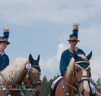 fileadmin/roha/images_galerie/brauchtum/Leonhardiritt/Holzhausen_01/Kaltblutfest/BR-PFRI-HOLZ-KALTBL-2015-1032-01-D-roha-Brauchtum-Kaltblut-Pferd-Kutsche-Holzhausen-Teisendorf-Postillon.png