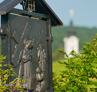 fileadmin/roha/images_galerie/kirche_religion/Ainring-Kreuzweg/KKKM-AINR-KR-08-0054-11-D-roha-Kreuzweg-Ainring-Ulrichshoegl-Heckenrose.png