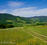 fileadmin/roha/images_galerie/wege/LANDS-ANG-0018-D-roha-Landschaft-Anger-Teisenberg-Blumenwiese.png