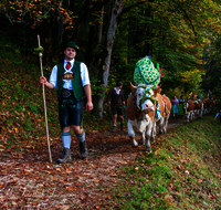 fileadmin/roha/images_galerie/brauchtum/Almabtrieb/Almabtrieb-Wasserfallalm/BR-ALMAB-BGD-OB-SLUZ-00105-D-roha-Almabtrieb-Berchtesgaden-Wasserfallalm-Obersulzberglehen-Fuikl-Senner.png