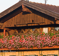 fileadmin/roha/images_galerie/Architektur-Bundwerk/LANDA-BLUMENSCHM-0027-D-roha-Landart-Bauernhaus-Balkon-Blumenschmuck.png