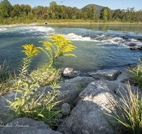 fileadmin/roha/images_galerie/wasser/LAUF-SALZA-SOHL-0003-D-roha-Laufen-Salzach-Sohlschwelle.png