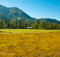 fileadmin/roha/images_galerie/orte_landschaft/Reit_im_Winkl/REIT-IM-WI-WEITS-0010-D-roha-Reit-im-winkl-Weitsee-Herbst-Wasser-See.png