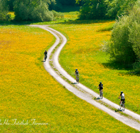 fileadmin/roha/images_galerie/Freizeit-Sport/Mountainbike-Radfahren/SPO-MOUN-TEIS-SUR-0001-D-roha-Sport-Mountainbike-Surspeicher-Teisendorf-Blumenwiese-Feldweg-10x15.png