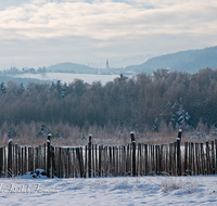 fileadmin/roha/images_galerie/Winter/AINR-MOOR-WIN-0001-D-roha-Ainring-Moor-Winter-Schnee-Zaun-Ulrichshoegl.png