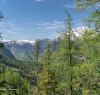 fileadmin/roha/images_galerie/orte_landschaft/Berchtesgaden/Jenner-Schoenau/BGD-SCHOEN-BRANDK-0003-01-D-roha-Berchtesgaden-Schoenau-Brandkopf-Koenigssee-Watzmann.png