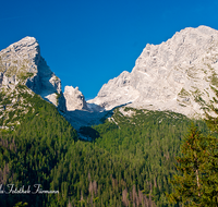 fileadmin/roha/images_galerie/orte_landschaft/Berchtesgaden/Watzmann/BGD-WATZ-0030-D-roha-Berchtesgaden-Watzmann-Gipfel-Wolken-Fichtenwald.png