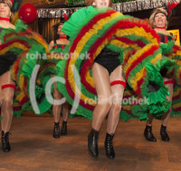 fileadmin/roha/images_galerie/brauchtum/Fasching/Gardeball/BR-FASCHI-GAR-1428-01-D-roha-Brauchtum-Fasching-Garde-Tanz.jpg