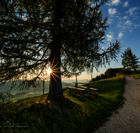 fileadmin/roha/images_galerie/wege/SO-AU-ANG-FUE-0007-07009-1-D-roha-Sonnenaufgang-Anger-Hoegl-Fuermann-Alm.png