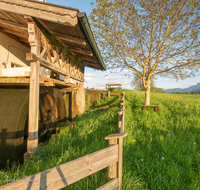 fileadmin/roha/images_galerie/orte_landschaft/Teisendorf/TEI-MAI-MUEH-0003-D-roha-Teisendorf-Maiermuehle-Wasserrad.png