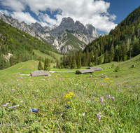 fileadmin/roha/images_galerie/orte_landschaft/Berchtesgaden/Nationalpark_Klausbachtal_Wimbachtal_-Klamm/BGD-NAT-BIND-0023-7-D-M-roha-Berchtesgaden-Nationalpark-Bindalm-Almhuette-Muehlsturzhoerner.png