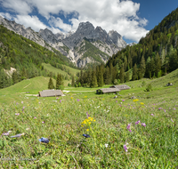 fileadmin/roha/images_galerie/orte_landschaft/Berchtesgaden/Nationalpark_Klausbachtal_Wimbachtal_-Klamm/BGD-NAT-BIND-0023-7-D-M-roha-Berchtesgaden-Nationalpark-Bindalm-Almhuette-Muehlsturzhoerner.png