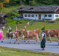 fileadmin/roha/reportagen/Almabtrieb-Wasserfallalm/BR-ALMAB-BGD-OB-SLUZ-00124-D-roha-Almabtrieb-Berchtesgaden-Wasserfallalm-Obersulzberglehen-Fuikl-Senner.png