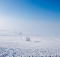 fileadmin/roha/images_galerie/orte_landschaft/Haarmoos/HAARM-WI-0040-D-roha-Laufen-Saaldorf-Haarmoos-Winter-Stadel-Schnee-Nebel.png