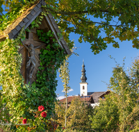 fileadmin/roha/images_galerie/kirche_religion/Ainring/KKKM-AINR-STRASS-0016-D-M-roha-Wegkreuz-Strass-Ainring-Baum-Kirche.png