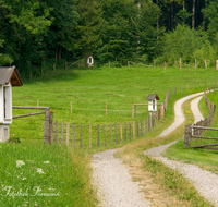 fileadmin/roha/images_galerie/wege/KKKM-TEIS-KREUZW-0007-D-roha-Kreuzweg-Teisendorf-Schelmberg-Weg.png