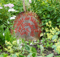 fileadmin/roha/images_galerie/Baum-natur-garten/Haus-Blumenschmuck-Deko/LANDA-LAUF-SPRU-0001-D-roha-Landart-Laufen-Spruch-Garten.png