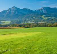 fileadmin/roha/images_galerie/orte_landschaft/Teisendorf/IN-LANDS-Teisendorf/LANDS-TEIS-HOCHST-0032-D-roha-Landschaft-Teisendorf-Hoerafing-Hochstaufen-Zwiesel.png