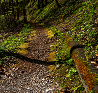 fileadmin/roha/images_galerie/orte_landschaft/Bad_Reichenhall/WEGE-R-Hall-ANTONI-SOLEL-0002-D-roha-Wander-Weg-Bad-Reichenhall-Antoniberg-Soleleitung.png