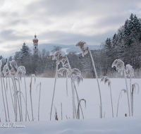 fileadmin/roha/images_galerie/orte_landschaft/Anger/Hoeglwoerth/AN-HOE-WIN-0100-D-roha-Anger-Hoeglwoerth-Kloster-Zwiebelturm-Winter.png