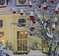 fileadmin/roha/images_galerie/orte_landschaft/Bad-Reich-Kurgarten-Beleuchtung/BAD-REI-KURGAR-WI-0007-D-roha-Bad-Reichenhall-Kurgarten-Rotunde-Christbaum-Christbaumkugel-rot-Schnee-Winter.png